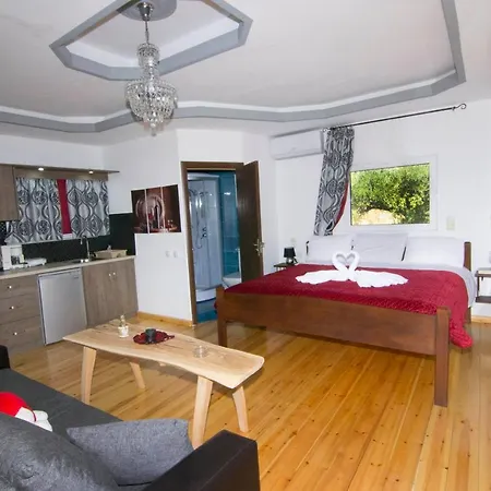 Villa Olive Tree With Private Pool & Jacuzzi