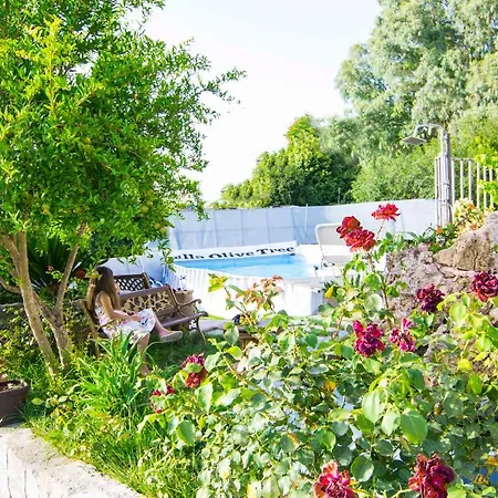 Olive Tree With Private Pool & Jacuzzi Villa *