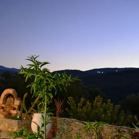 Olive Tree With Private Pool & Jacuzzi