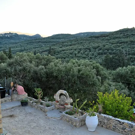 Olive Tree With Private Pool & Jacuzzi Villa *