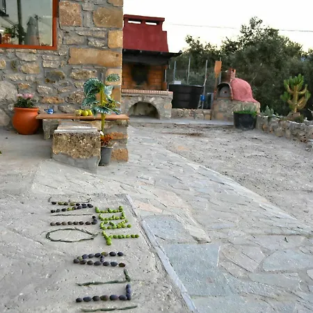 Villa Olive Tree With Private Pool & Jacuzzi