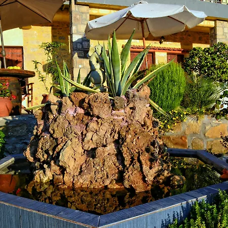 Villa Olive Tree With Private Pool & Jacuzzi