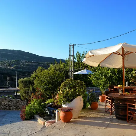 Olive Tree With Private Pool & Jacuzzi *