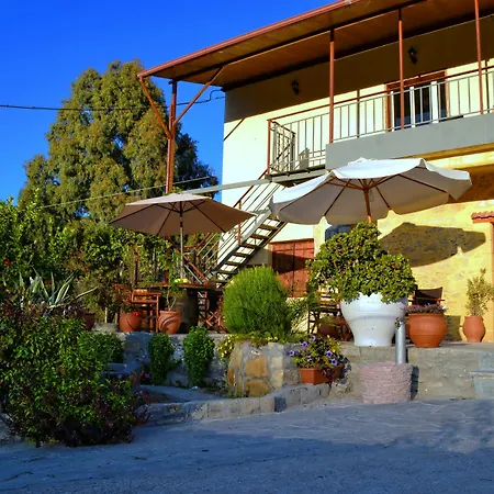 Olive Tree With Private Pool & Jacuzzi Villa *