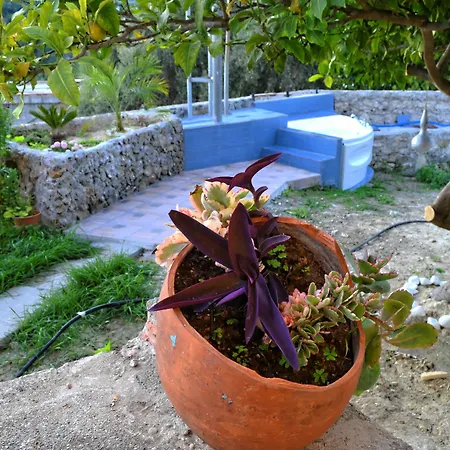 Olive Tree With Private Pool & Jacuzzi Villa Kissamos