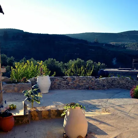 Villa Olive Tree With Private Pool & Jacuzzi