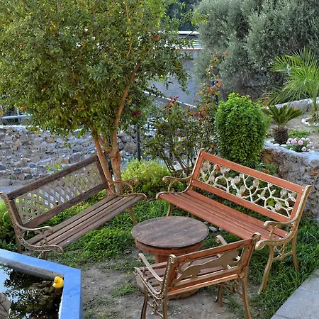 Olive Tree With Private Pool & Jacuzzi Villa