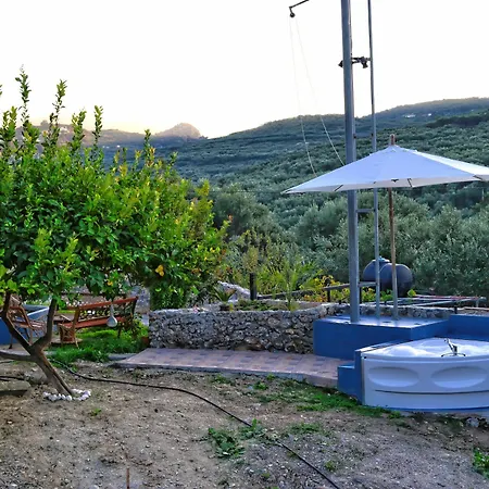 Olive Tree With Private Pool & Jacuzzi Villa *