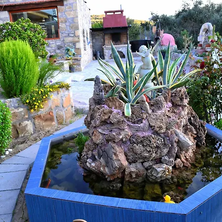 Olive Tree With Private Pool & Jacuzzi Villa Kissamos