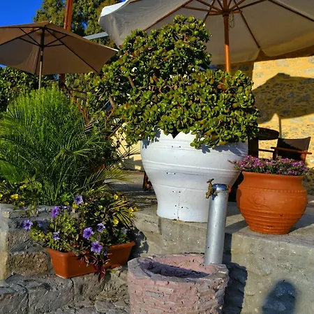 Olive Tree With Private Pool & Jacuzzi