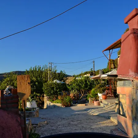 Olive Tree With Private Pool & Jacuzzi Villa