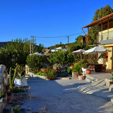 Olive Tree With Private Pool & Jacuzzi * Kissamos
