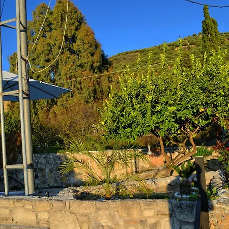 Olive Tree With Private Pool & Jacuzzi Villa *