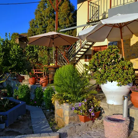 Olive Tree With Private Pool & Jacuzzi Villa