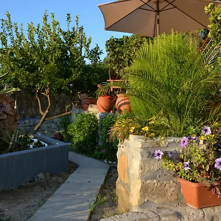 Villa Olive Tree With Private Pool & Jacuzzi *
