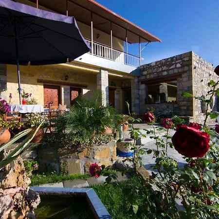 Olive Tree With Private Pool & Jacuzzi *