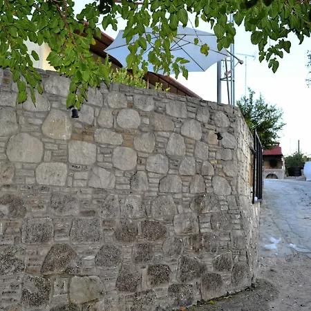 Olive Tree With Private Pool & Jacuzzi Kíssamos