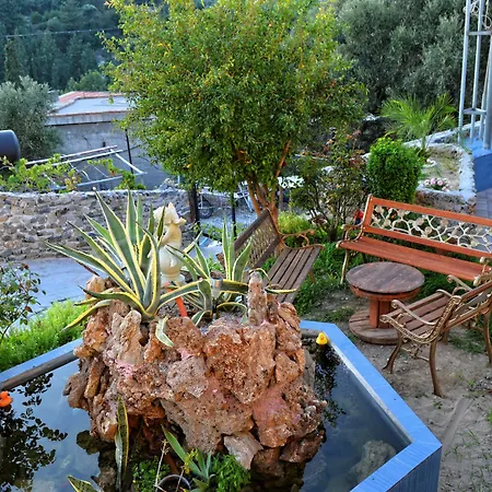 Olive Tree With Private Pool & Jacuzzi Vila Kíssamos
